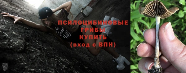 эйфоретик Абаза