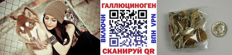 Псилоцибиновые грибы мицелий  Торопец 